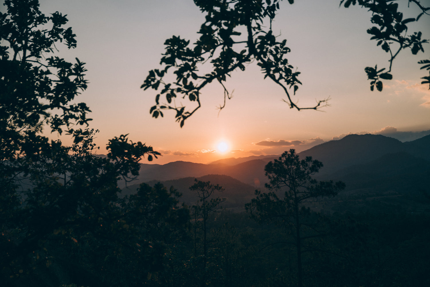 Enjoy the sunset right from your cozy room.